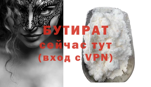 прущие грибы Лабытнанги