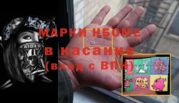 прущие грибы Беломорск