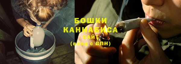 прущие грибы Лабытнанги