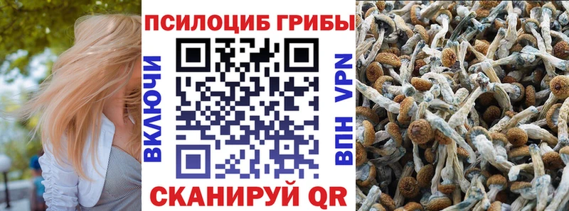 Галлюциногенные грибы GOLDEN TEACHER  Добрянка 
