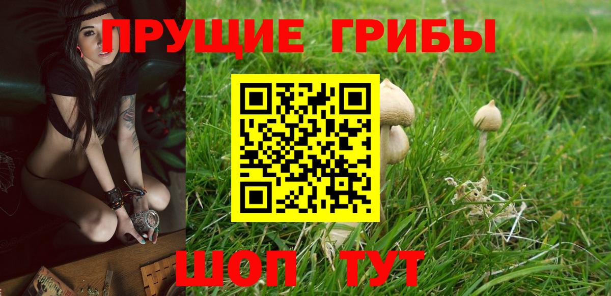 Псилоцибиновые грибы GOLDEN TEACHER  Псилоцибиновые грибы мухоморы  Добрянка 