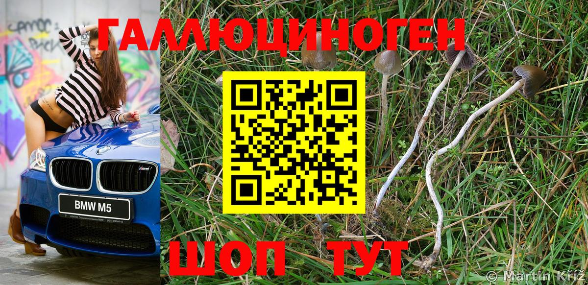 Псилоцибиновые грибы Psilocybine cubensis Добрянка