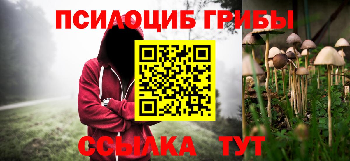Псилоцибиновые грибы Psilocybine cubensis  Псилоцибиновые грибы Cubensis  Вход с VPN  Добрянка 
