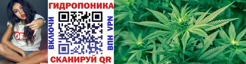 Конопля семена  Добрянка 